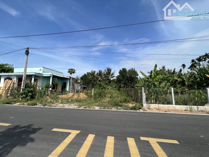 Bán đất mặt đường mã rống diên phước vị trí đẹp - 2