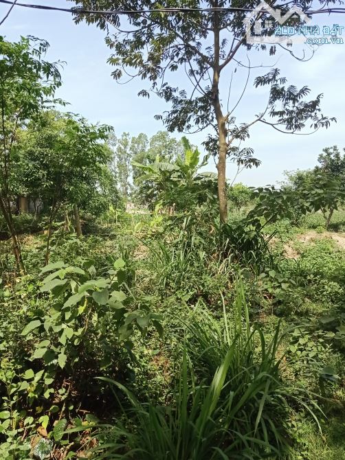 Chỉ  tầm 15 triệu đất thổ cư xã Đồng quang,  Quốc Oai , Hà Nội
