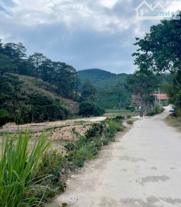 Cần bán lô đất View rừng thông🌲🌲 Hiệp An- chân Đèo Pren- Đức Trọng🔥2 Tỷ 8