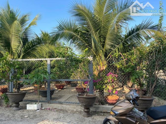 Bán đất view sông cầu bè phù hợp làm biệt thự