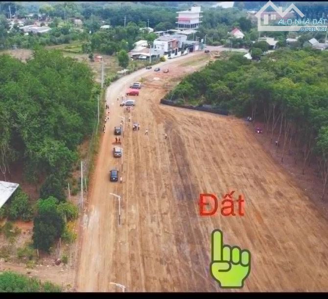 Cấn bán đất vườn 1000m2 ở  Đống Phú, Bính Phước