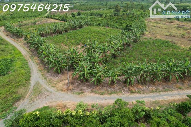 BÁN ĐẤT VIEW SÔNG – HẺM ĐƯỜNG ĐINH CÔNG TRÁNG, TP BẢO LỘC📍 Xã Lộc Châu, TP Bảo Lộc,