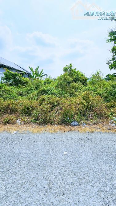 Bán nền 100m² đường số 6 KDC Đông Phú, Châu Thành, Hậu Giang