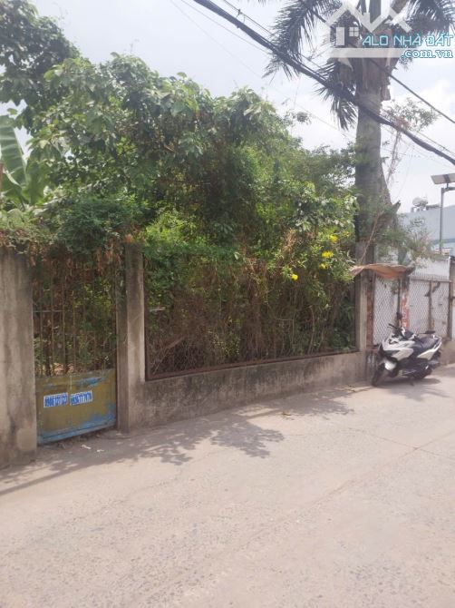 Đất bán 6x50 300m2 chưa tới 40tr/ m2,1/ Nguyễn thị tú ,bhhb,bình tân,hcm - 3
