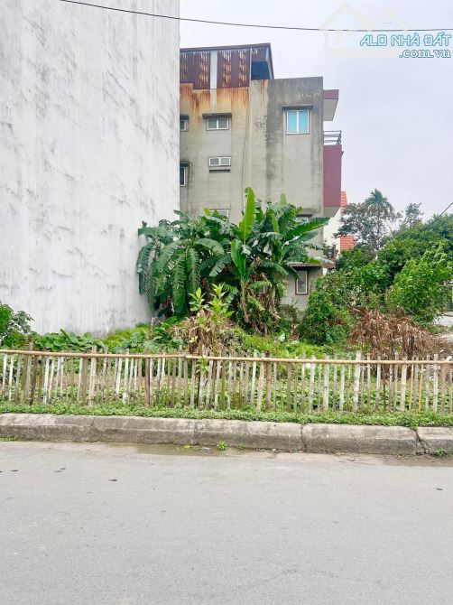 Mrs Tâm Bán 90m2 đất khu Chapi Cái Tắt, An Đồng, An Dương, Hải Phòng. 65tr/m2