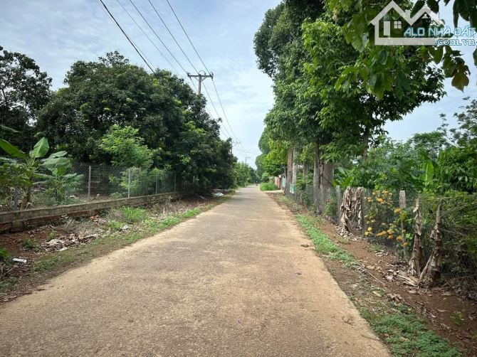 👉B.án Vườn trái cây đất đỏ bazan(Chôm Chôm + măng cụt + sầu riêng). Gia Tân 3. Thống nhất - 11