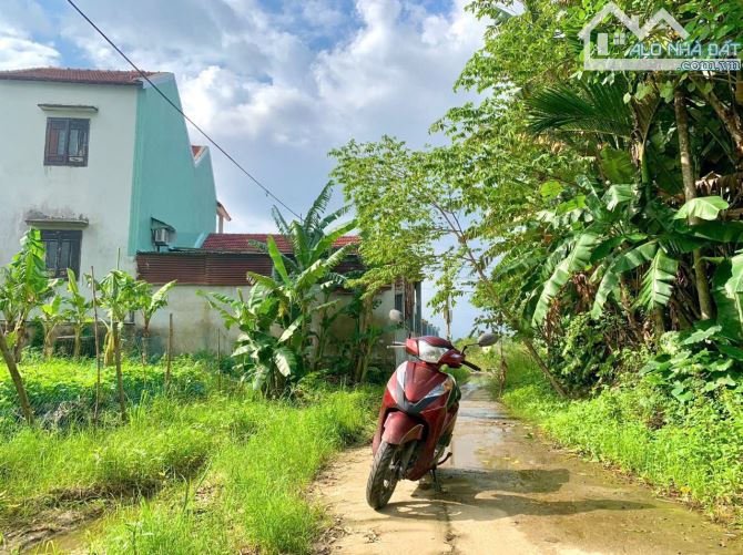 Bán Đất Phường Điện Phương - Gần Ốc Hút Hạnh - 82m2 - MT 5m - Oto Thông Tứ Hướng - 520tr. - 1
