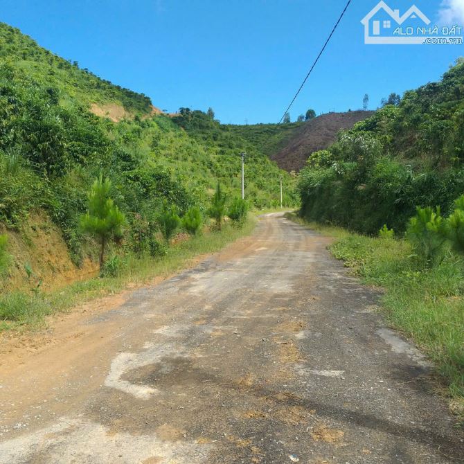 CHỦ BÁN ĐẤT TRỒNG CHÈ – CÀ PHÊ VIEW ĐẸP TẠI ĐẠI LÀO – BẢO LỘC 🌿 - 1