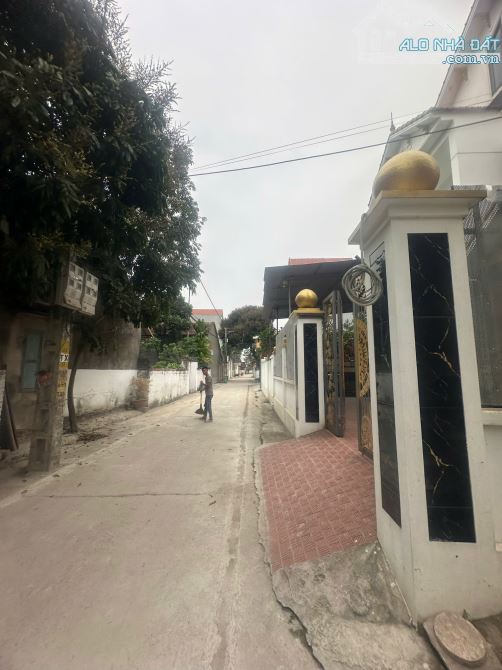 Bán đất cum 10 Thọ Xuân, Đan Phượng, gần trục chính, MT rộng, thoáng 46m nhỉnh 2 tỷ - 1