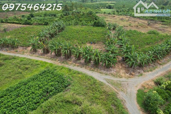 BÁN ĐẤT VIEW SÔNG – HẺM ĐƯỜNG ĐINH CÔNG TRÁNG, TP BẢO LỘC📍 Xã Lộc Châu, TP Bảo Lộc, - 1