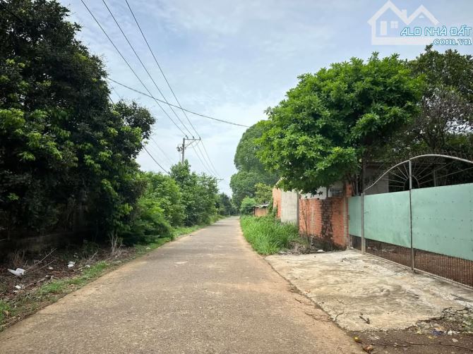 👉B.án Vườn trái cây đất đỏ bazan(Chôm Chôm + măng cụt + sầu riêng). Gia Tân 3. Thống nhất - 12