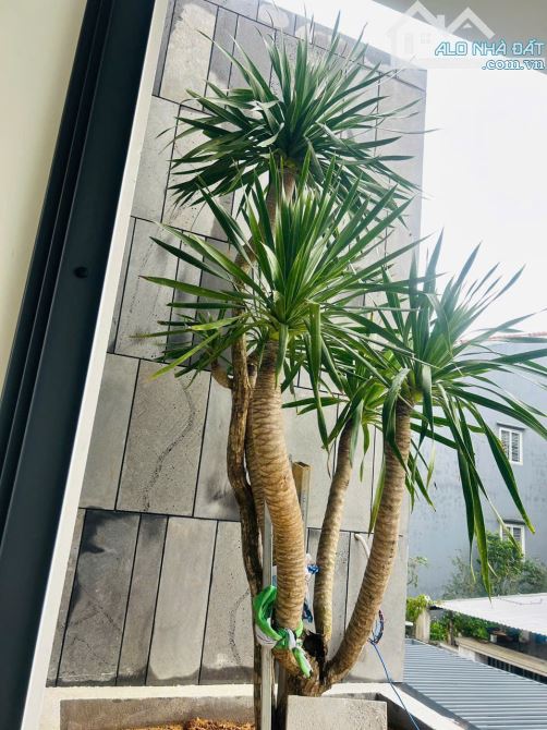 ♦️Bán Nhà 2 Tầng kiệt 44 Vũ Ngọc Phan. Cách đường chính 50m - 15