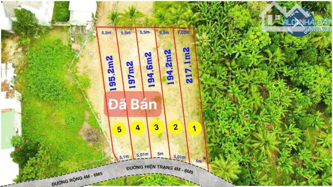 💥💥2 Lô Liền Kề Trung Tâm Xã Diên Lâm, Cách Đường Hương Lộ 39 Chỉ 40 Mét Giá 699 Triệu💥 - 2