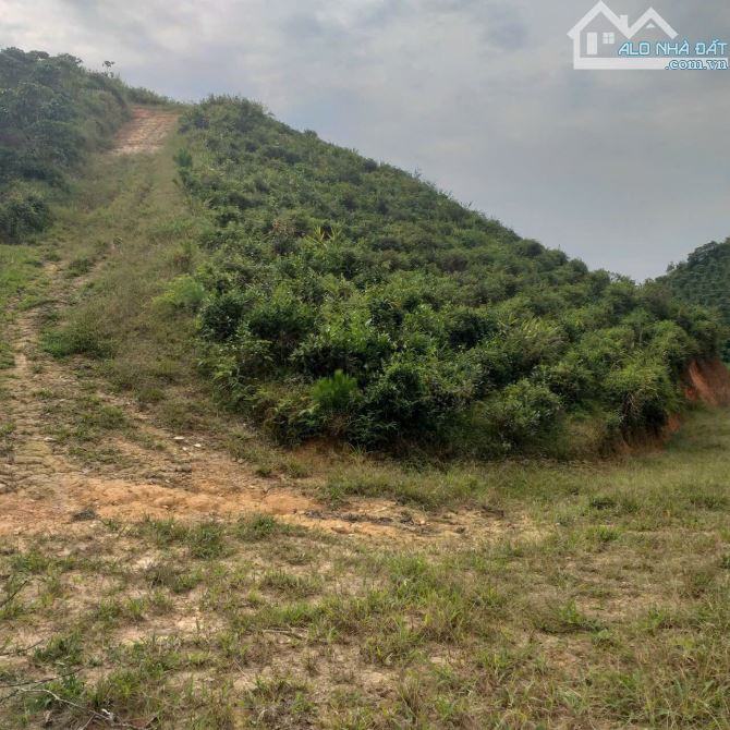CHỦ BÁN ĐẤT TRỒNG CHÈ – CÀ PHÊ VIEW ĐẸP TẠI ĐẠI LÀO – BẢO LỘC 🌿 - 2