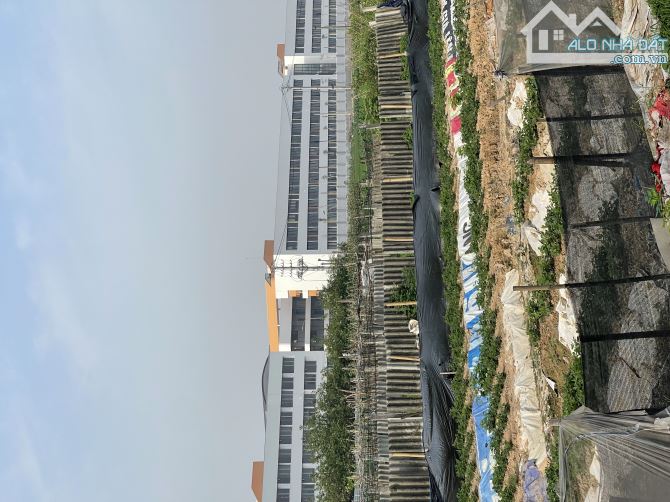 BÁN ĐẤT KIM NỖ 86m² - MT 4.2m - ĐƯỜNG Ô TÔ THÔNG - CHỈ 6.3TỶ - CƠ HỘI ĐẦU TƯ VÀNG! - 2