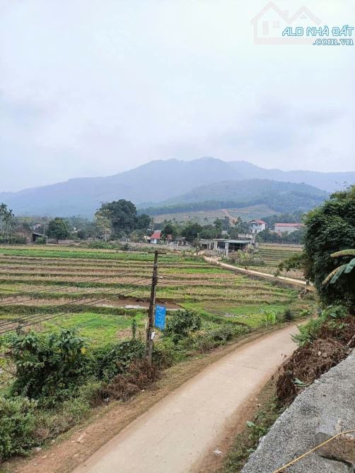 BÁN ĐẤT NGHỈ DƯỠNG CAO SƠN – LƯƠNG SƠN – HÒA BÌNH Diện tích gần 2000m² View ruộng cực đẹp - 2
