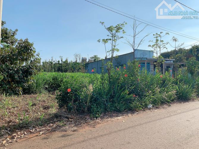 Bán 20x49 có 320tc đất thị trấn Kim Long, huyện Châu Đức, BRVT. - 2