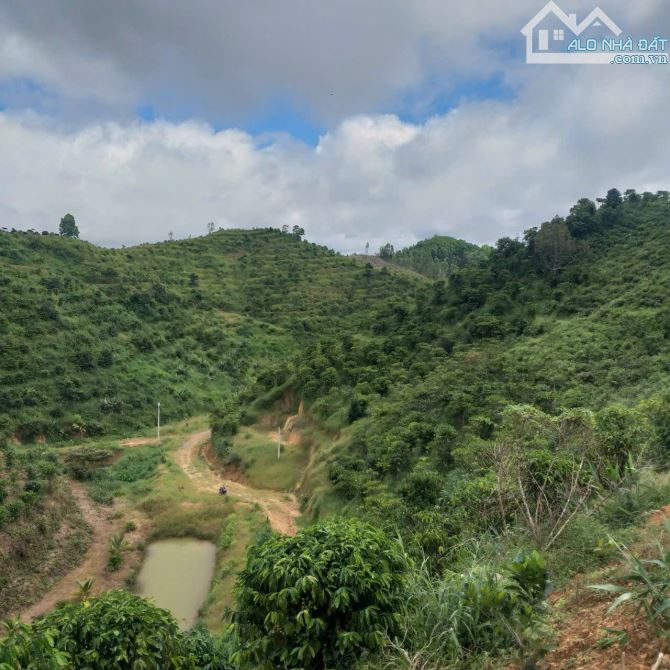 CHỦ BÁN ĐẤT TRỒNG CHÈ – CÀ PHÊ VIEW ĐẸP TẠI ĐẠI LÀO – BẢO LỘC 🌿 - 3