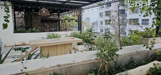 THANH XUÂN - GIẢM CHÀO LẦN 3 - GIẢM NGAY 3,8 TỶ - CẦN BÁN CỰC GẤP. - 3