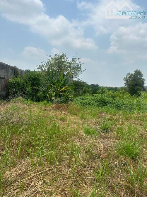 Bán đất 2500m2 tại Dương Công Khi, Tân Hiệp, Hóc Môn, giá cực chất 70 tỷ - 4