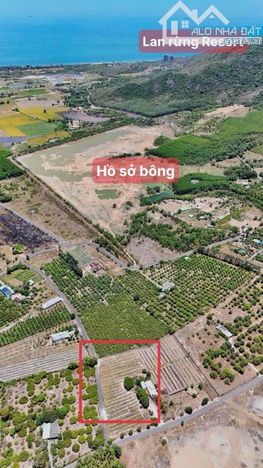 THỊ TRẤN PHƯỚC HẢI - NGAY HỒ SỞ BÔNG- CÁCH LAN RỪNG RESORT CHỈ 3Km DT 10x27M - 274M2 - 100 - 4