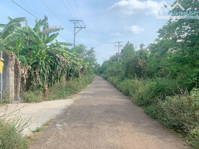 Bán khoảng 4 sào 1 (4132m2) đất Sông Xoài, Tp.Phú Mỹ, BRVT. - 9