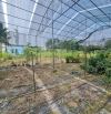 Bán đất Giới Tế . Phú Lâm . dt 900m . mt 20m . hướng TN . giá 3ty 6