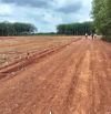 2000m2 sổ sẵn công chứng ngay 10x100