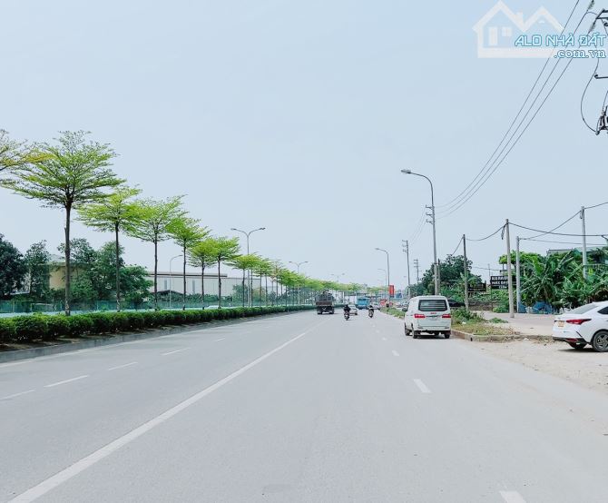 HOA HẬU ĐẤU ZÁ X1 THÔN ĐÌA NAM HỒNG ĐƯỜNG RỘNG NHIỀU Ô TÔ TRÁNH 91M ZÁ RẺ