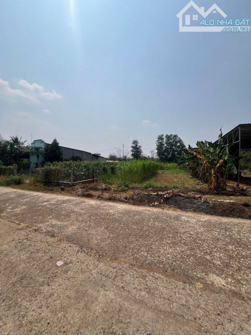 🆘BÁN ĐẤT SÔNG NHẠN CẨM MỸ CHỈ 1tỷ499tr Cho 910m2 Đất Phủ hồng mặt đường betong    ✅Đường