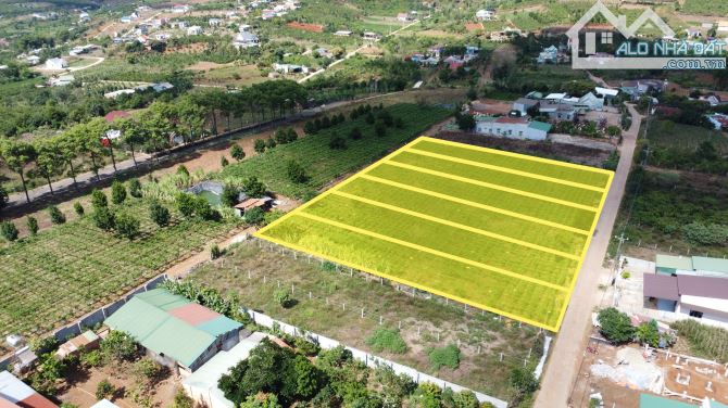 🔥 BÁN ĐẤT XÂY DỰNG NGHỈ DƯỠNG ĐÔNG THANH – LÂM HÀ 🔥 - 1.5 TỶ