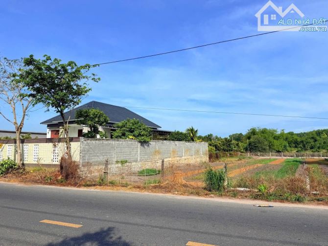 BÁN ĐẤT THỊ TRẤN PHƯỚC HẢI ĐẤT ĐỎ BÀ RỊA VŨNG TÀU - 1