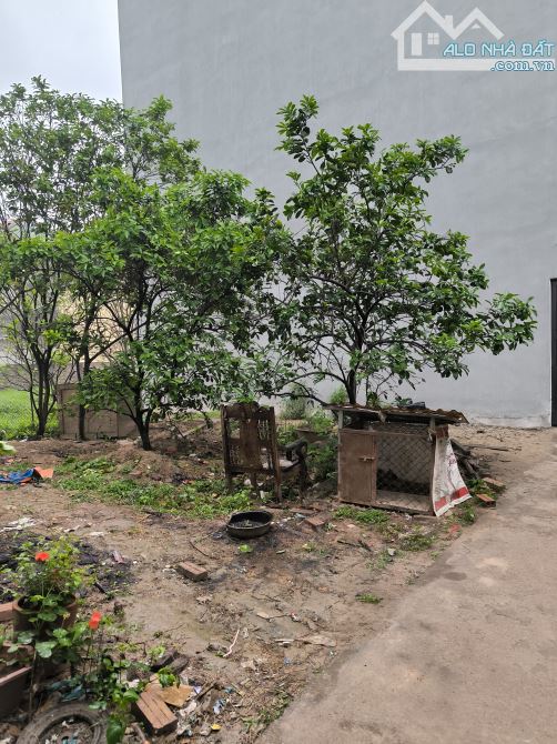 Đất La Tinh 20m ra đường vành đai 4, gần chợ, trường học các cấp, 50m giá 6,5tỷ - 1