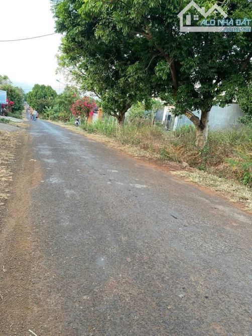 Bán đất cư êbur ,thôn 8 phạm ngũ lão-tp bmt - 1