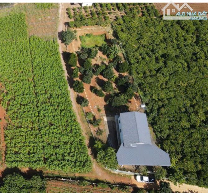 Bán căn nhà vườn 2 mặt tiền cực đẹp 1.774m2 ngay Gần sân bay Liên Khương, Gần Quốc Lộ 27 - 1