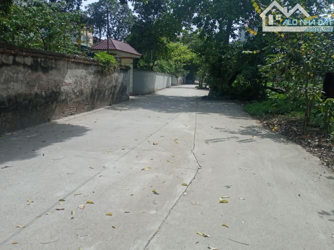 Bán đất thôn Đoan Khê Lạc Đạo Văn Lâm - 3