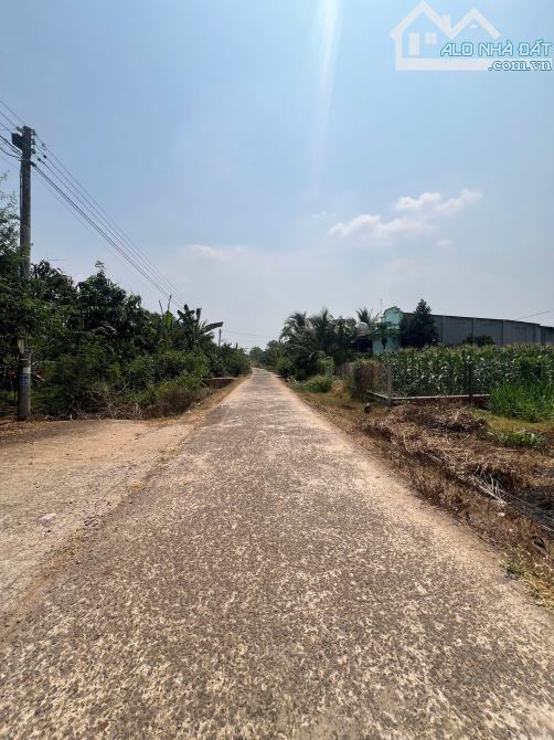 🆘BÁN ĐẤT SÔNG NHẠN CẨM MỸ CHỈ 1tỷ499tr Cho 910m2 Đất Phủ hồng mặt đường betong    ✅Đường - 1