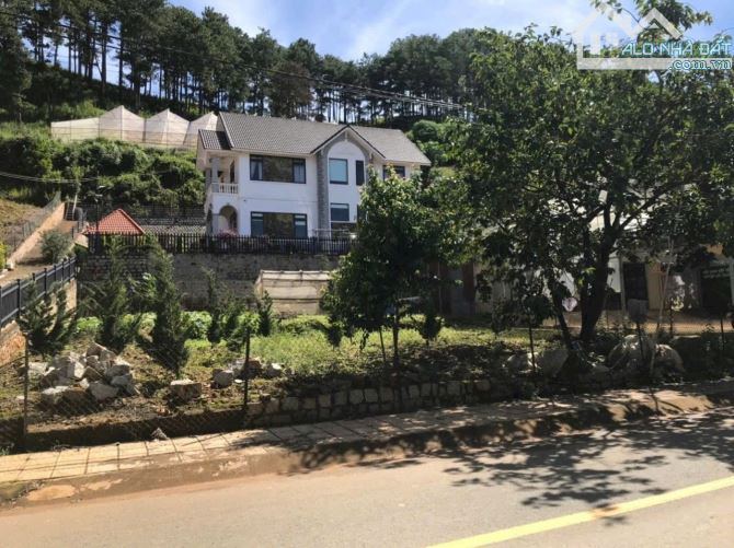 Bán lô đất Lạc Dương- Đà Lạt 175m - 🔥 5 tỷ 5 - mặt tiền đường nhựa rộng - 1