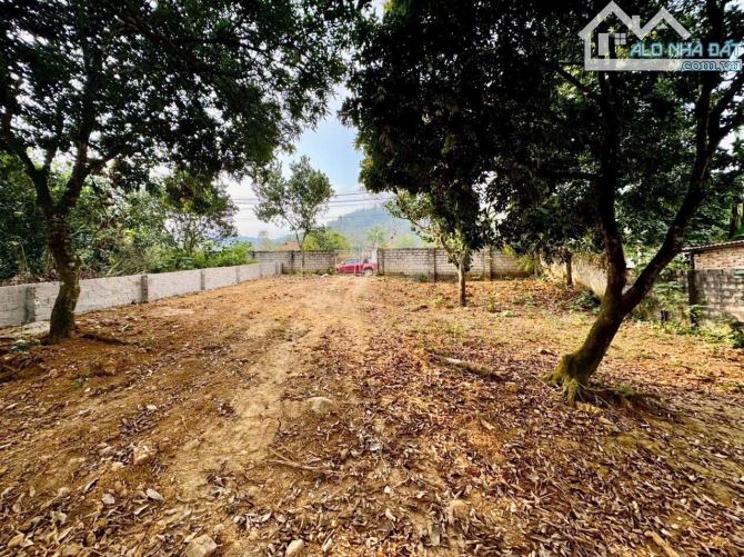 Đất thổ cư thôn Nghe Vân Hòa, gần Tản Lĩnh, 650m, view đồng, vuông, nở hậu, chỉ với 4.29tỷ - 1