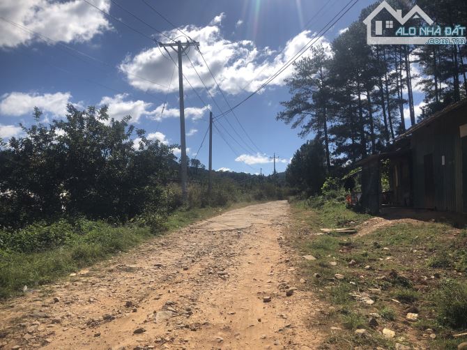 🔥 CƠ HỘI SỞ HỮU ĐẤT NÔNG NGHIỆP VIEW THOÁNG TẠI ĐẠ SAR - LÂM ĐỒNG 🔥 - 3.3 TỶ - 1