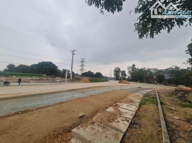 Bán đất Đạo tú, Tam dương , Vĩnh phúc. mặt đường DT310, Góc 3 mặt tiền - 1