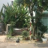 lô H04 khu sadaco Ven sông phường Tân Phong Q7. Dt 5,5x19m - 2