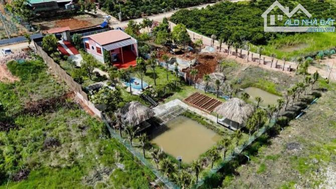 BÁN NHÀ VƯỜN NGHỈ DƯỠNG – VIEW ĐẸP, KHÔNG GIAN THƯ GIÃN TẠI TÀ NUNG – ĐÀ LẠT  - 12.6 TỶ - 1