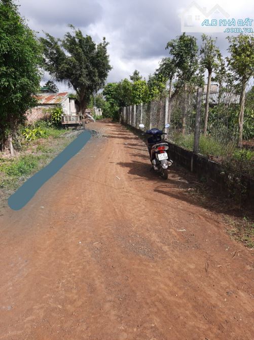LÔ ĐẤT KHỐI 15 PHƯỜNG KHÁNH XUÂN - DT: 5 x 19,5m.  - Thổ cư 100%. - Giá : 5xx triệu  * Vị - 1