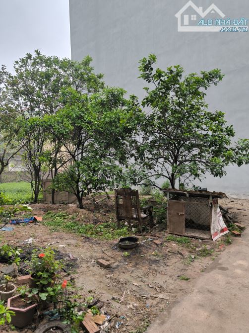 Đất La Tinh 20m ra đường vành đai 4, gần chợ, trường học các cấp, 50m giá 6,5tỷ - 2