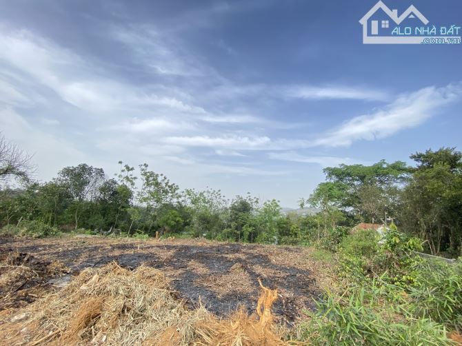 Cần Bán Lô Đất Đẹp 700m2 Xã Vân Hoà, Ba Vì, Thế Đất Cao Thoáng Mát Mẻ, Giá Chỉ 4tr7/1M2 - 2