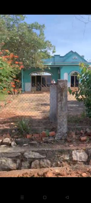 BÁN VƯƠN TRÁI CÂY CÓ TIÊU, ĐIỀU, DT 6000M2 TẠI BÀU LÂM, XUYEN MỘC, VŨNG TÀU, GIÁ 4.4 TỈ - 2