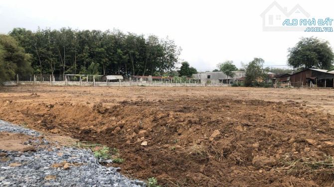 Cần bán đất 2 mặt tiền đường nhựa 1/ đường Láng The xã Tân Thạnh Tây 4200m2 1800m thổ cư - 3