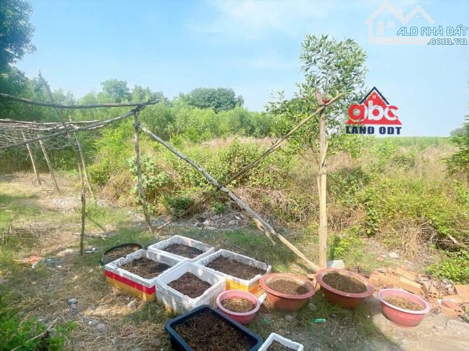 Bán đất mặt đường kinh doanh ,gần QL1.A và đường bắc hoà phú sơn, 129m2 chỉ 1ty6 full thổ - 3