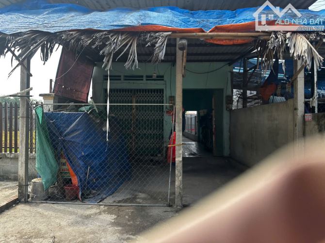 Cờ bạc đổ Nợ Cần Bán nhanh Dãy trọ đang kinh Doanh Ở An Bình An Tịnh Trảng Bàng 125m2 590t - 3